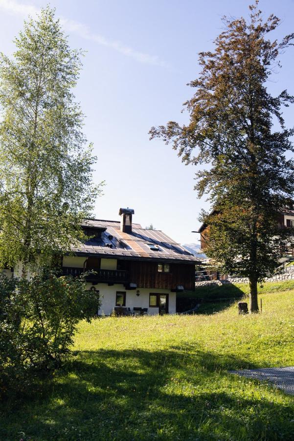 Apartament Casa Betulla Cortina dʼAmpezzo Zewnętrze zdjęcie